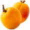 apricot-زردآلو
