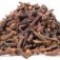 cloves-ادویه-گل-میخک