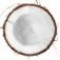 coconut-نارگیل