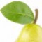 pear-leaf-برگ-درخت-گلابی