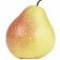 pear-گلابی