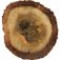 agarwood-oud-عود