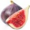fig-انجیر