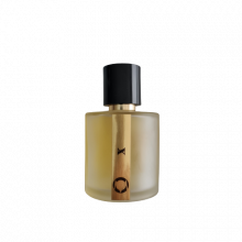 montaigne-x-for-men-مونتاین-ایکس