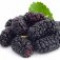 mulberry-شاه-توت