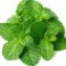 mint-نعناع
