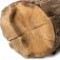 woody-notes-روایح-چوبی